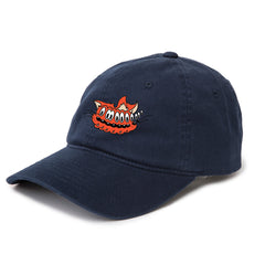 Shakey Cat Dad Hat